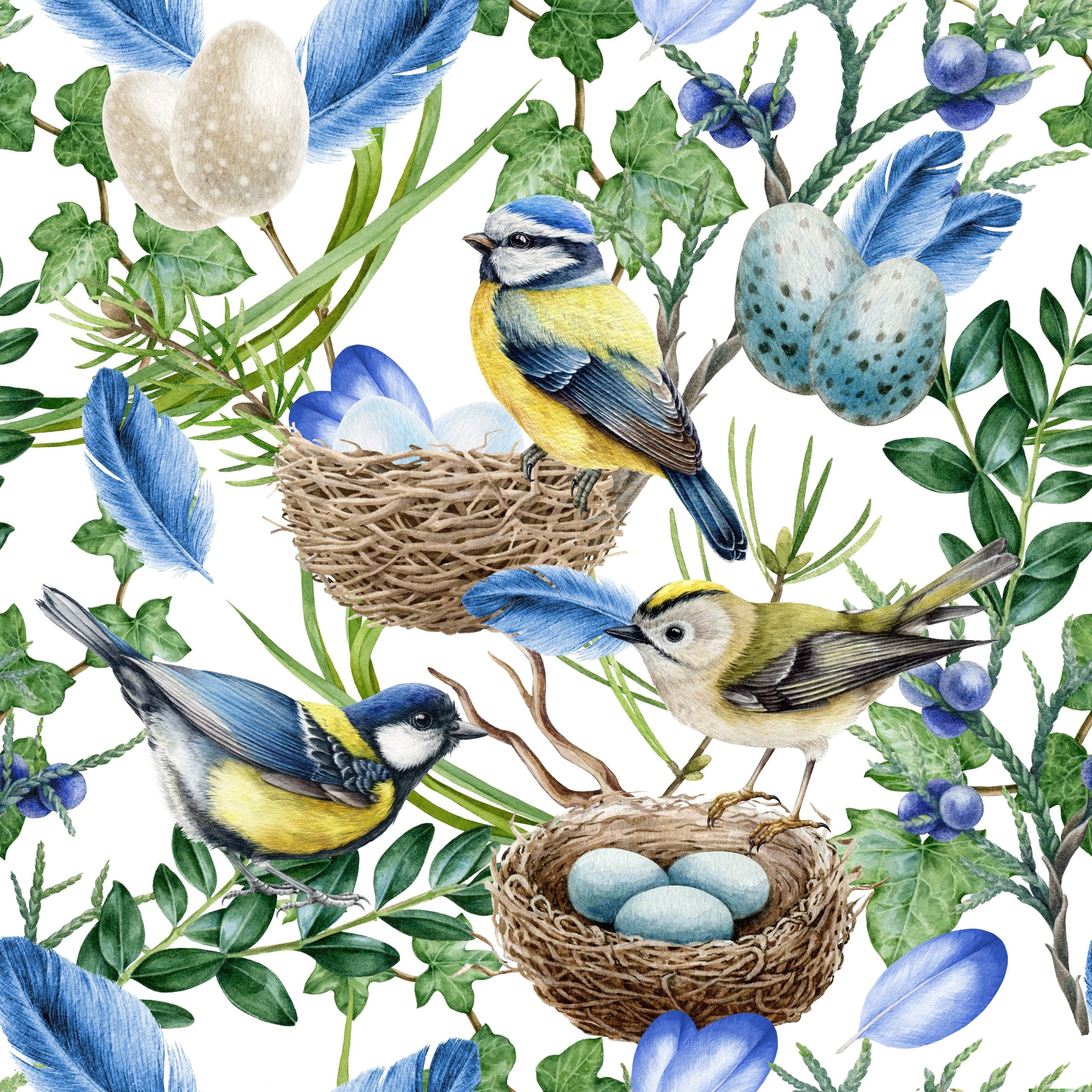 BIRDS & INSECTS THEME