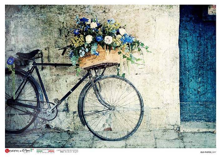 Blue Bicycle