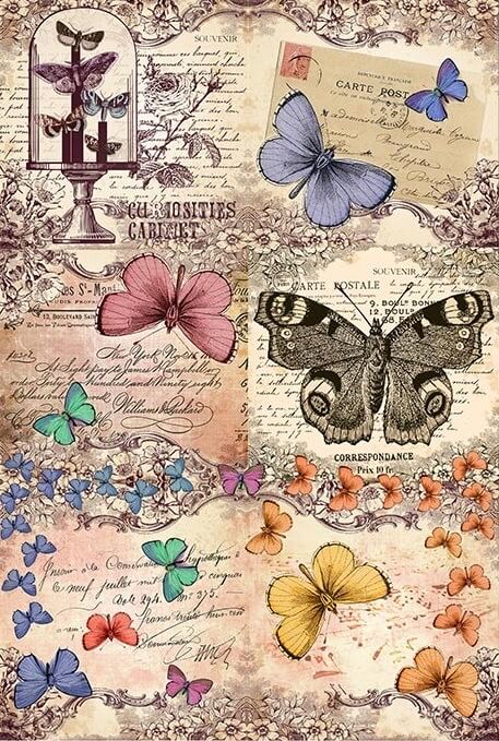 Butterflies