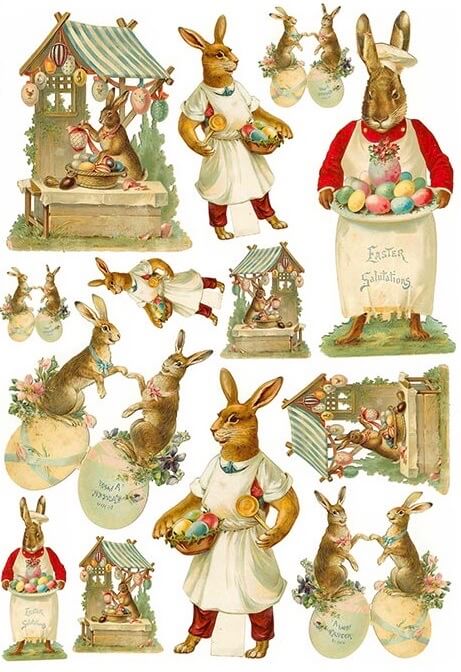 Cooking Bunny