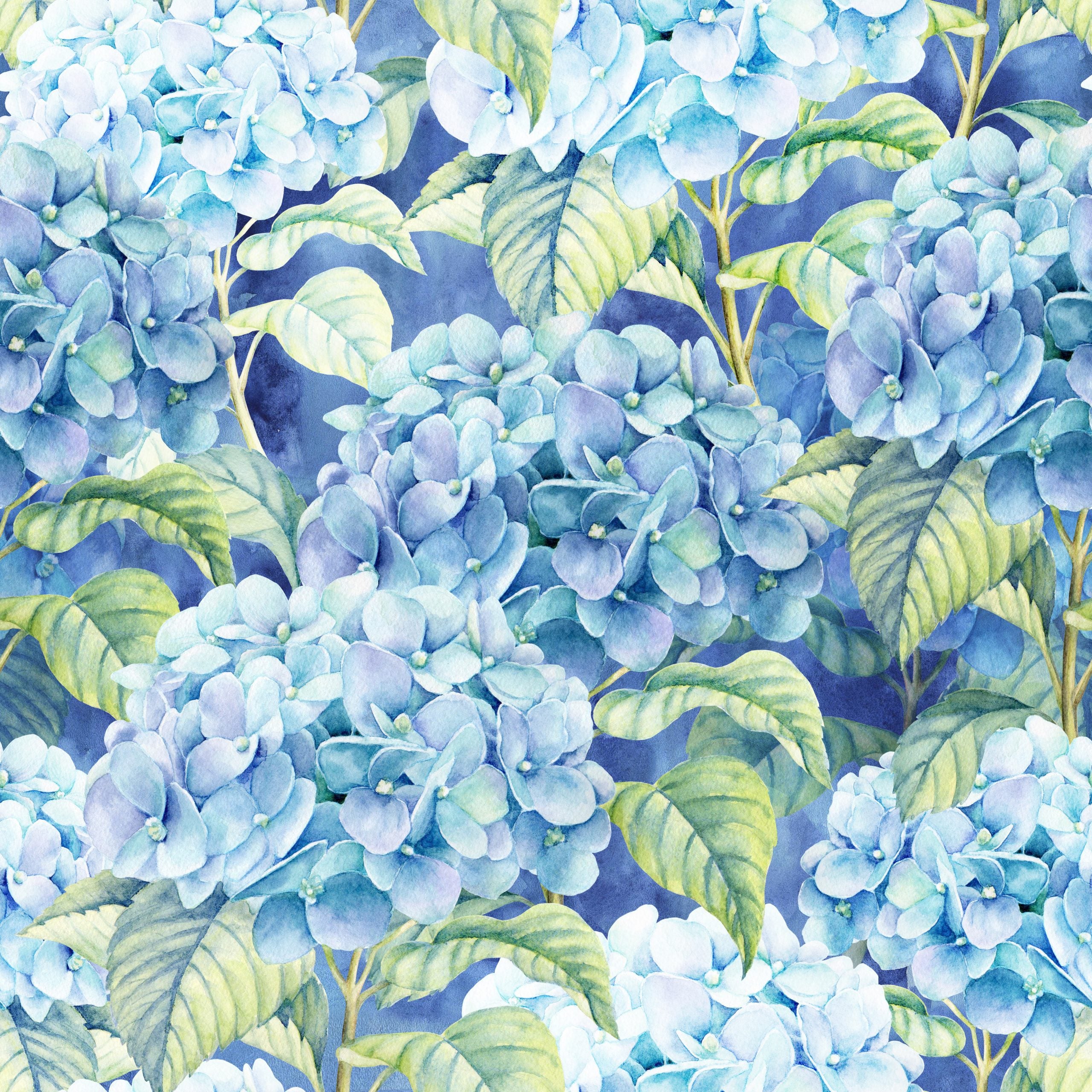 Blue Hydrangea