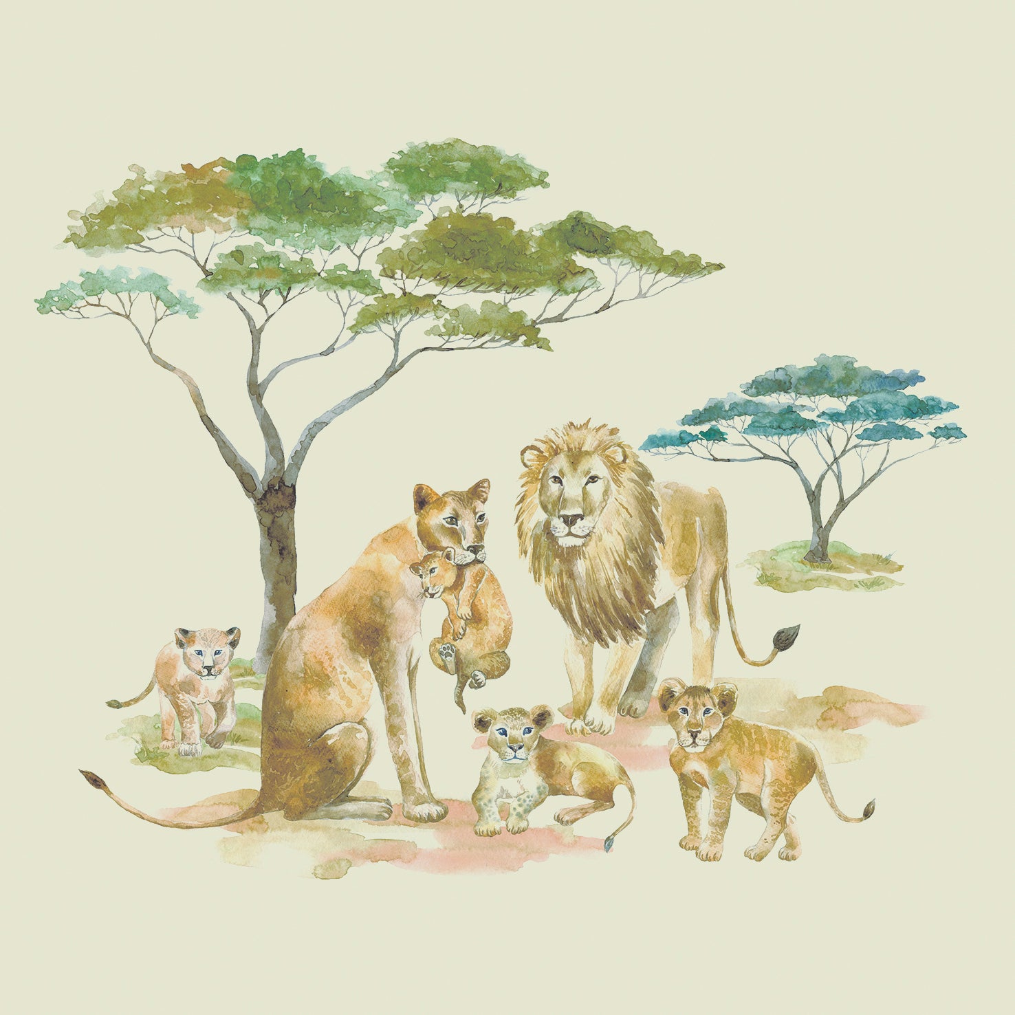 Safari Lions