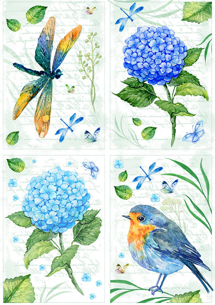 Blue Hydrangea