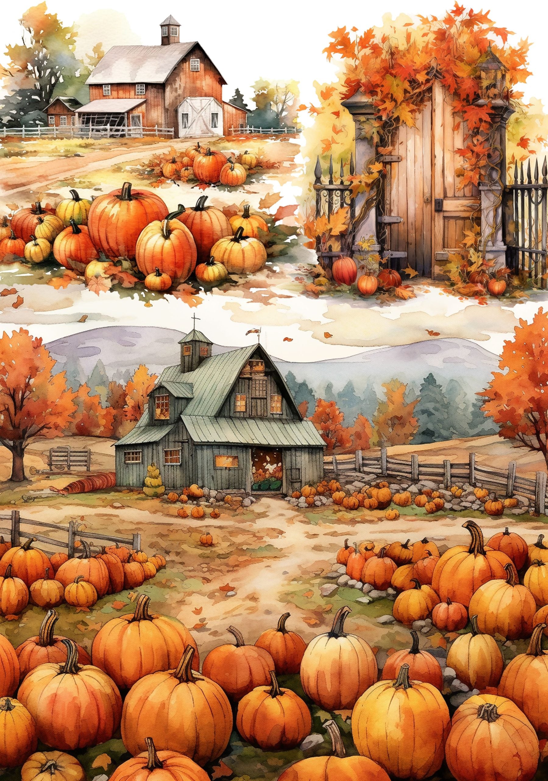Pumpkin Land