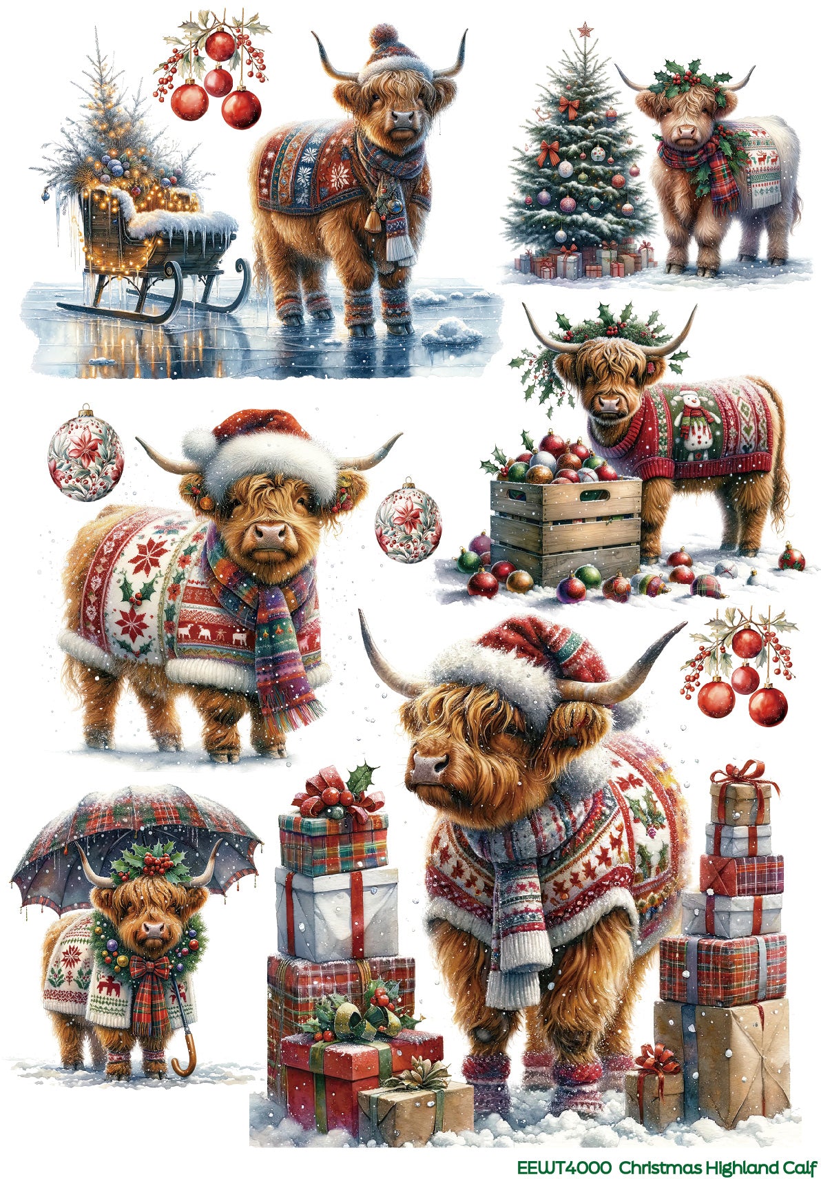 Christmas Highland Calf