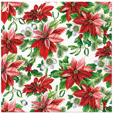 Glory Poinsettia