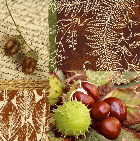 Chestnuts and Acorns
