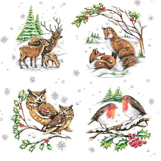Winter Animals