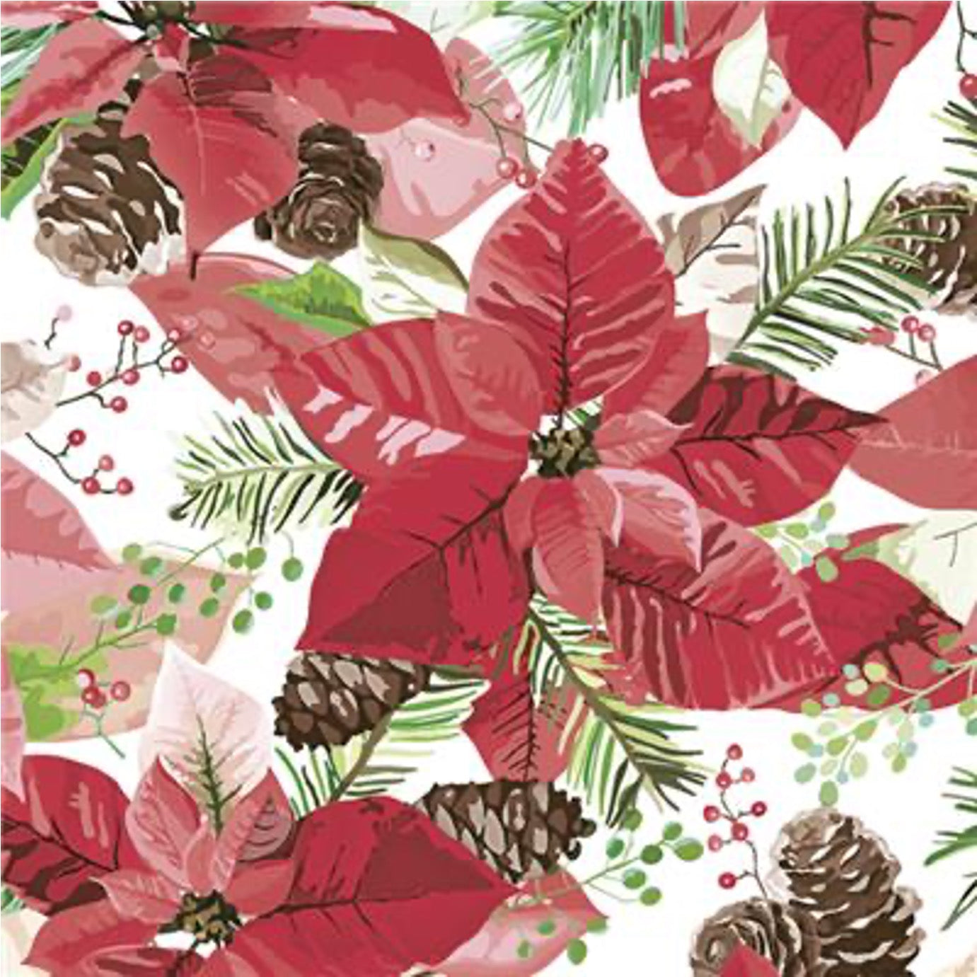 Poinsettia With Cones