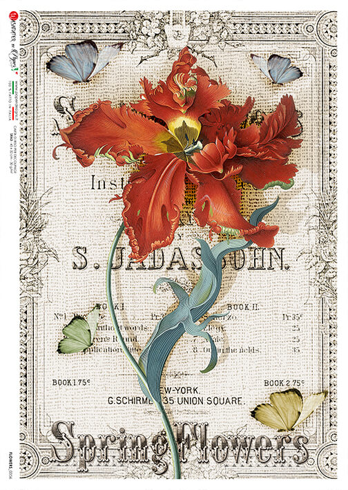Spring Flower
