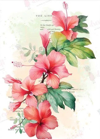 Tropical Beauty