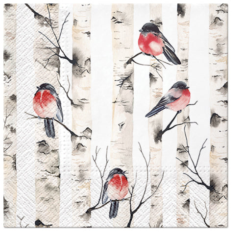 Birch Trees