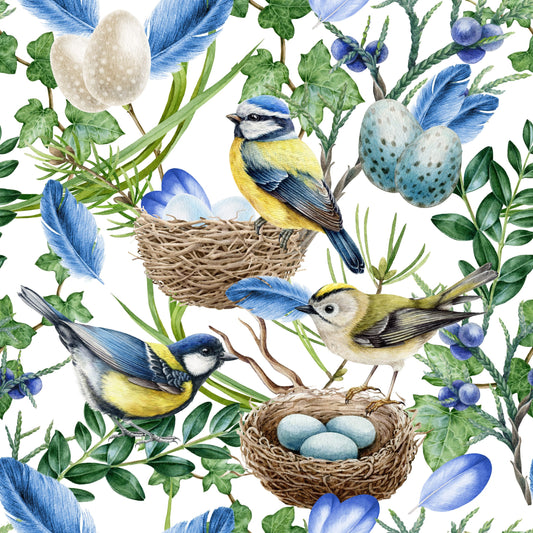 Blue Birds Nest
