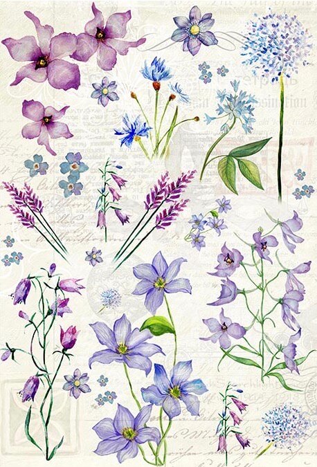 Blue Spring Flowers