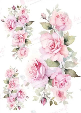 Blush Roses