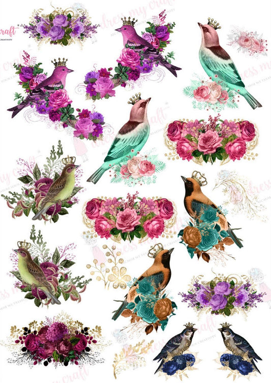 Queen Birds