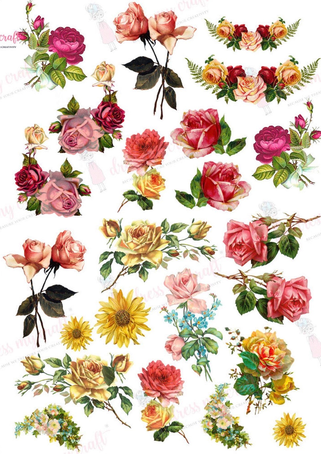 Roses
