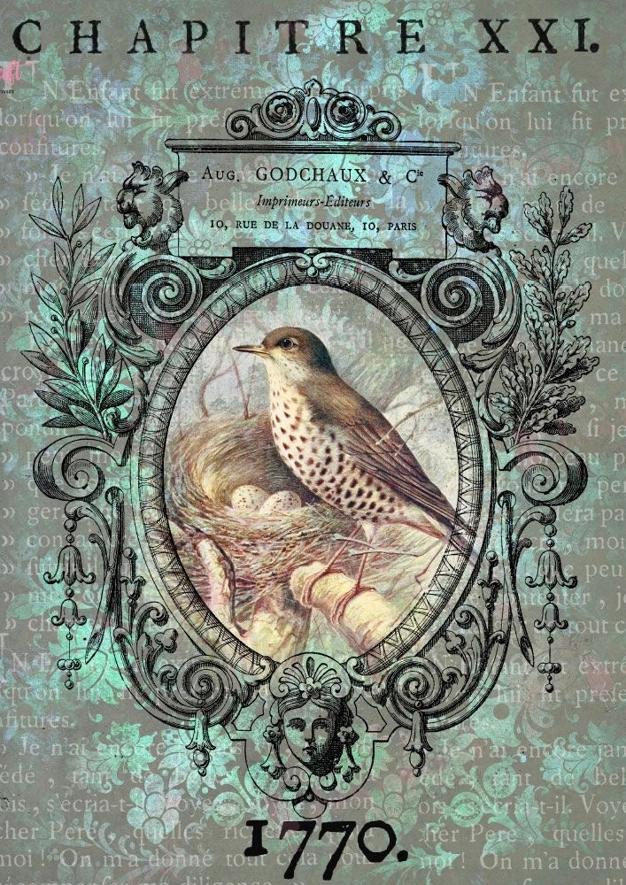 Vintage Bird