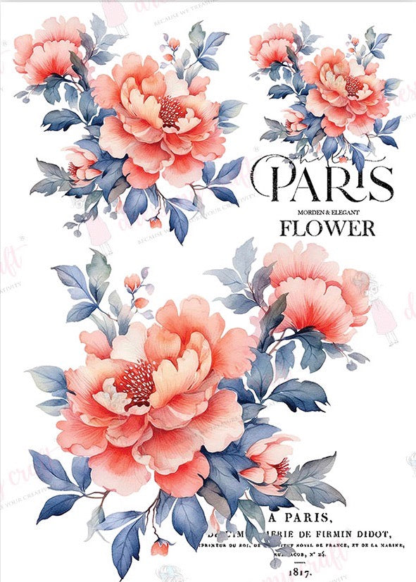 Paris Blooms