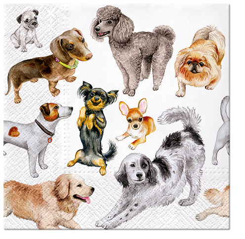 Dogs Happiness 