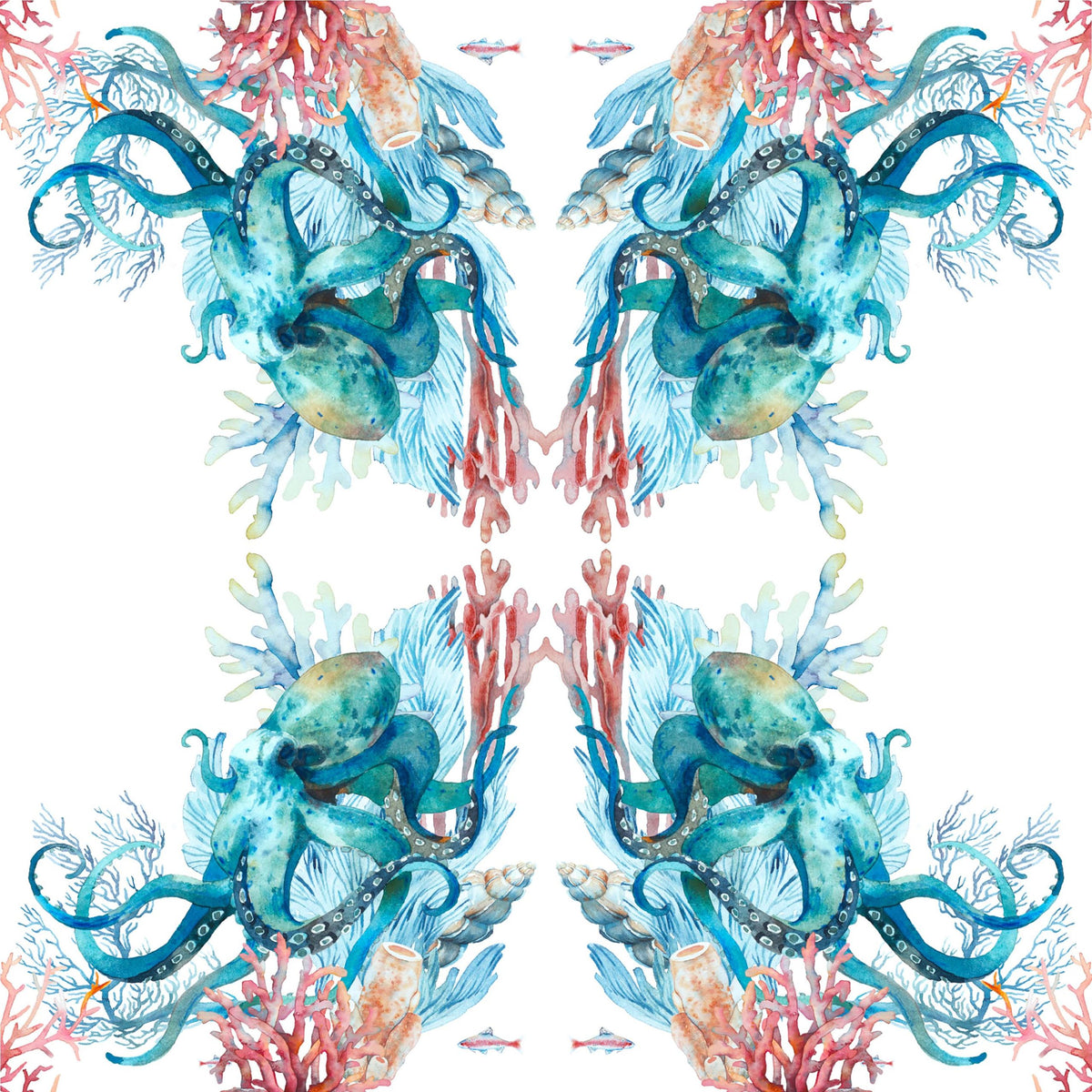 Octopus