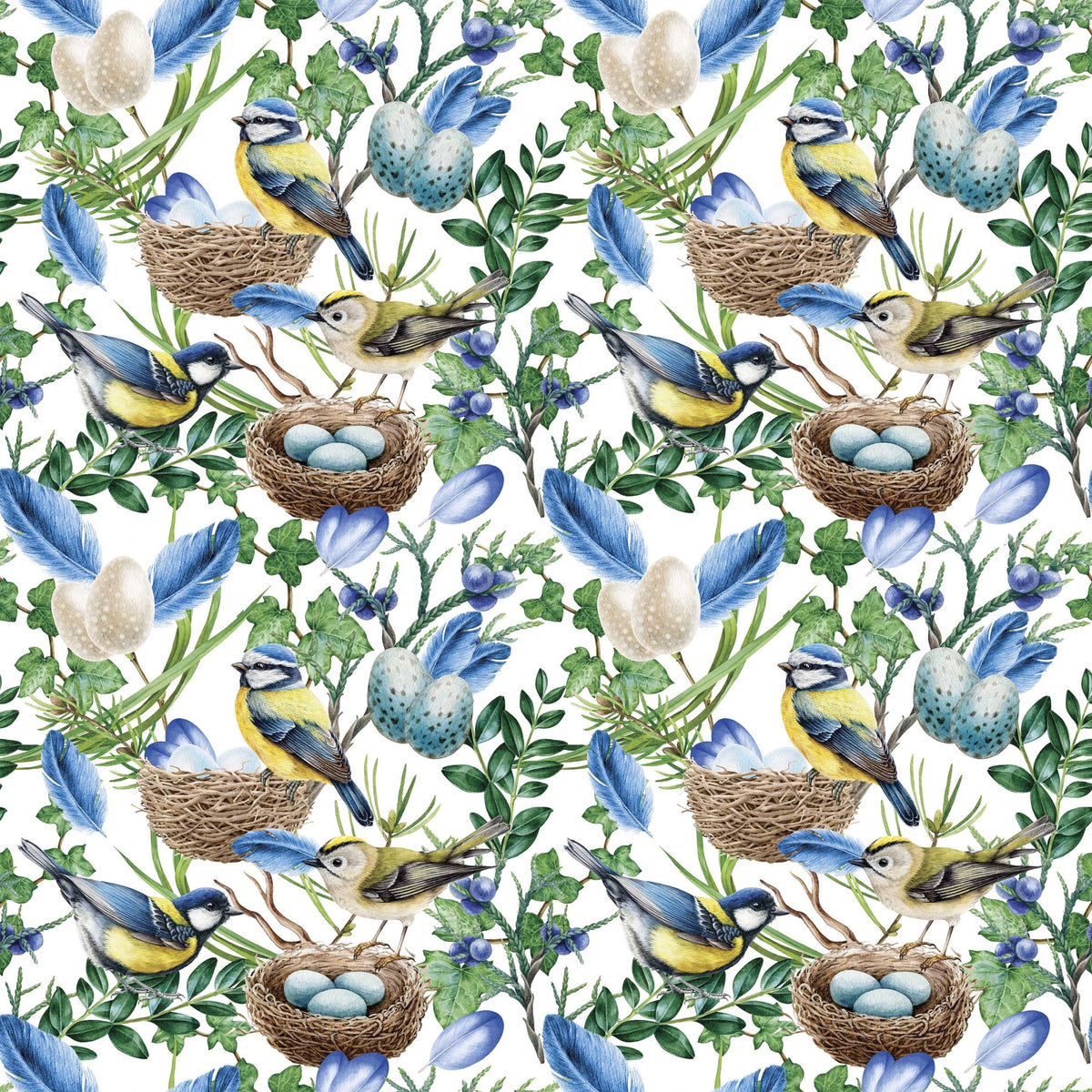 Blue Birds Nest
