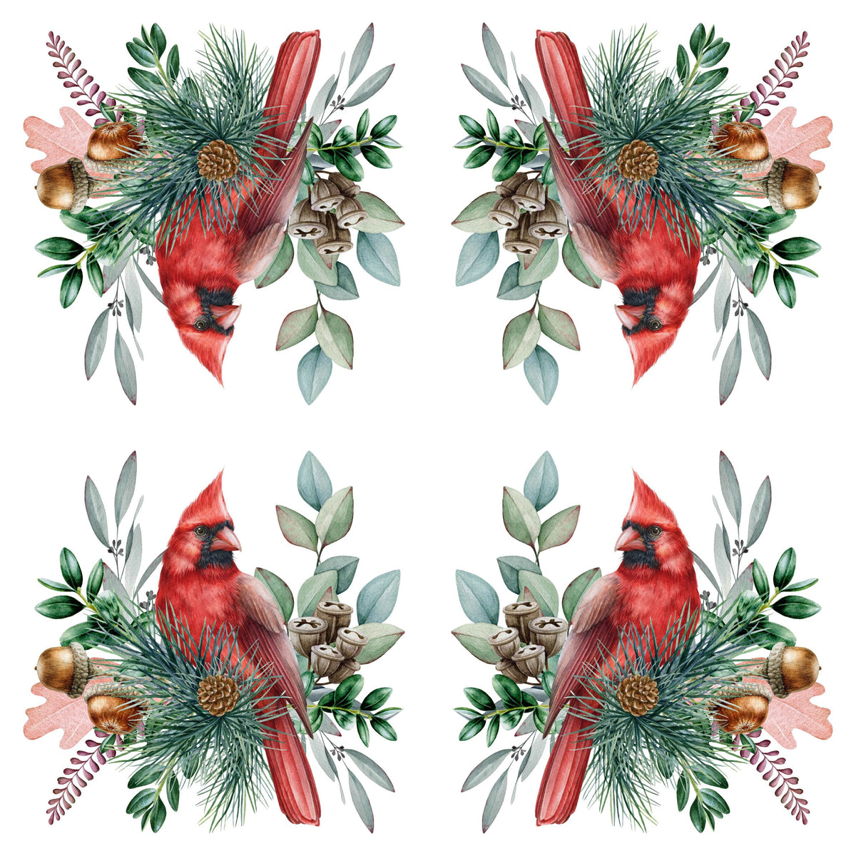 Red Cardinal