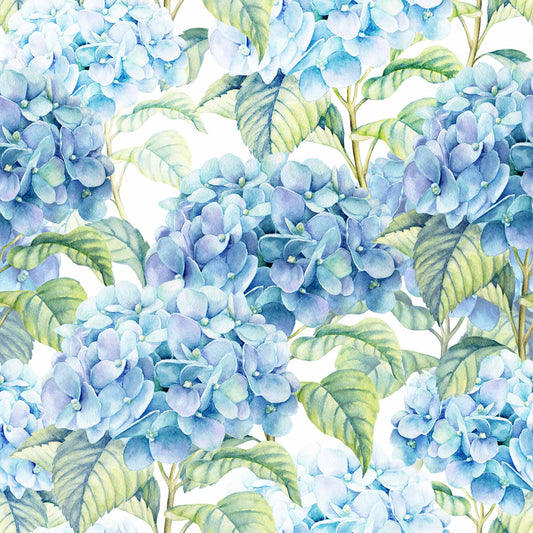 Blue Hydrangea