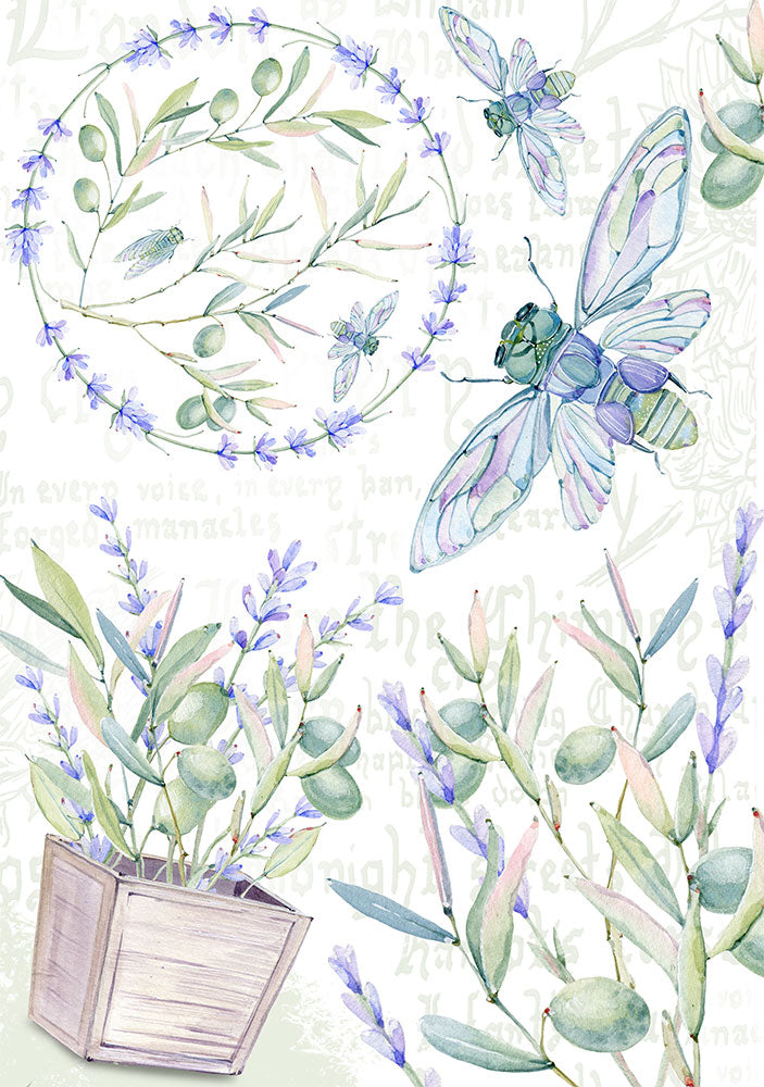 Lavender Cicada