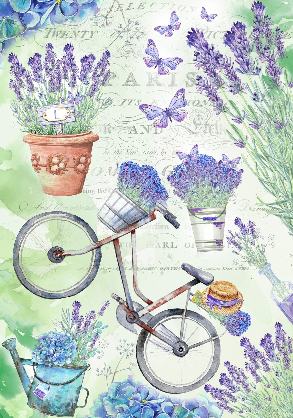 Lavender Bike