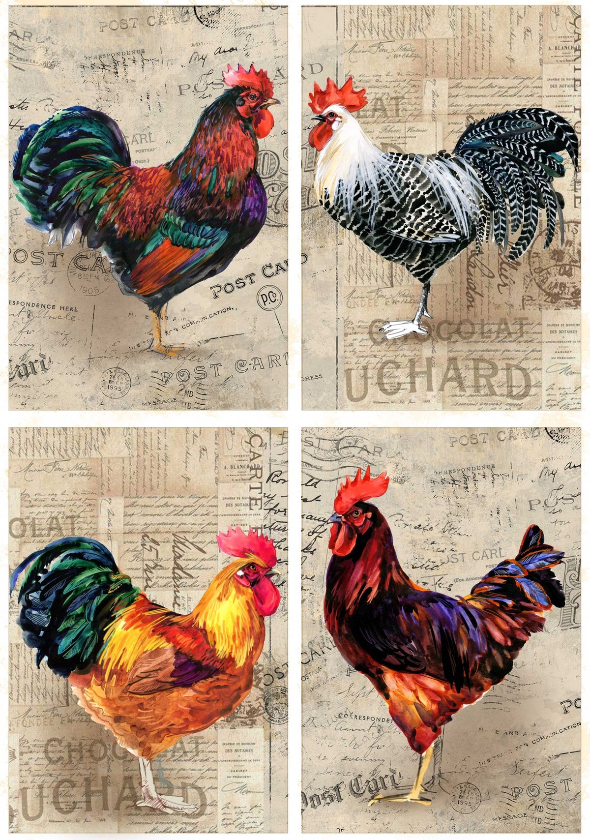 Roosters