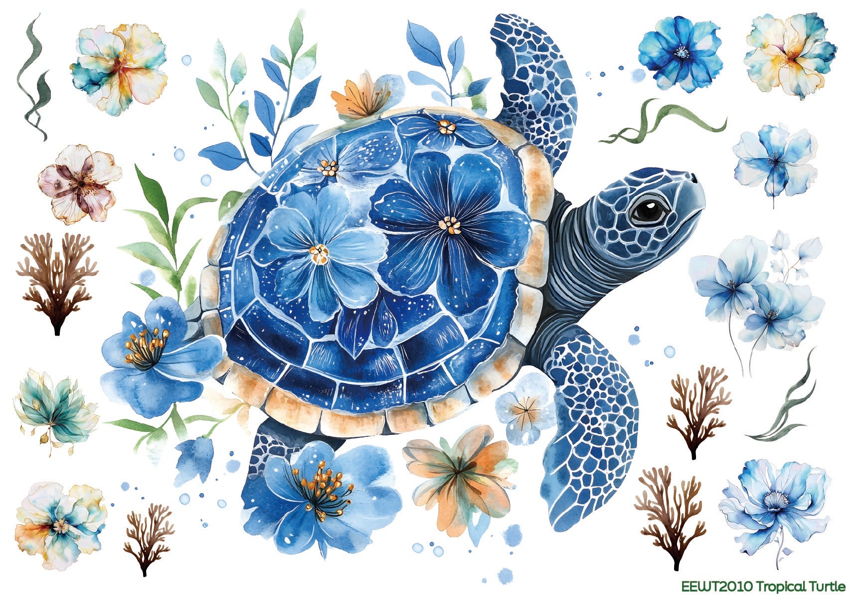 Tropical Turtle - Wet Transfer Decals