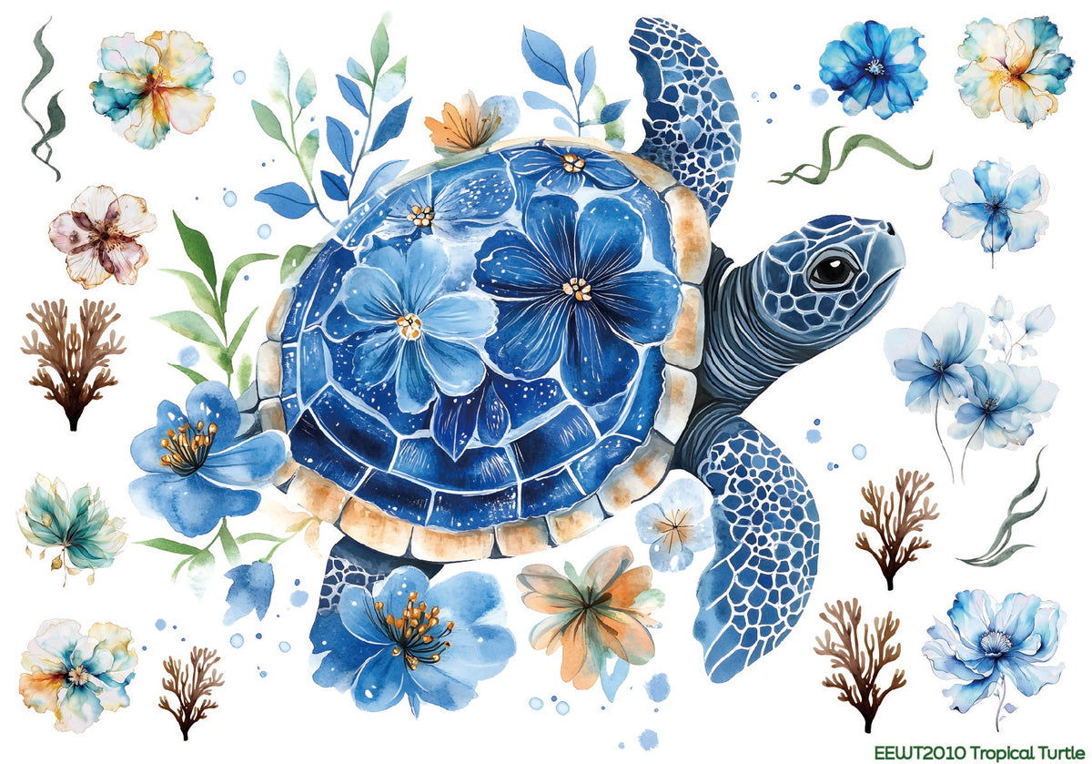 Tropical Turtle - Wet Transfer Decals