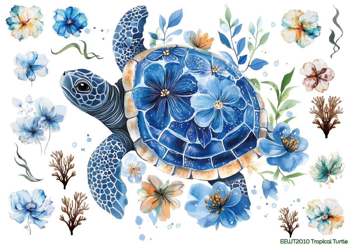 Tropical Turtle - Wet Transfer Decals