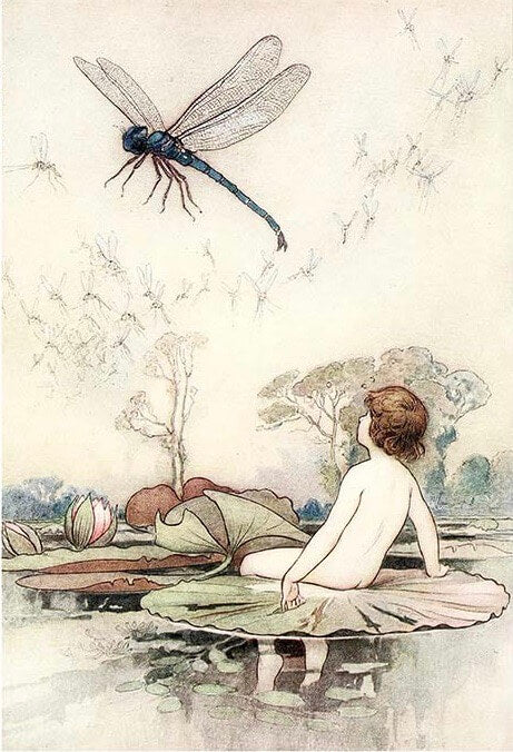 FAIRIES
