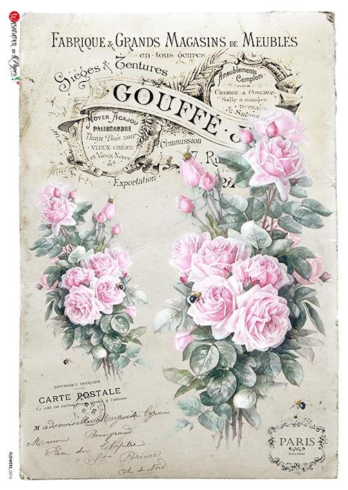 French Pink Roses