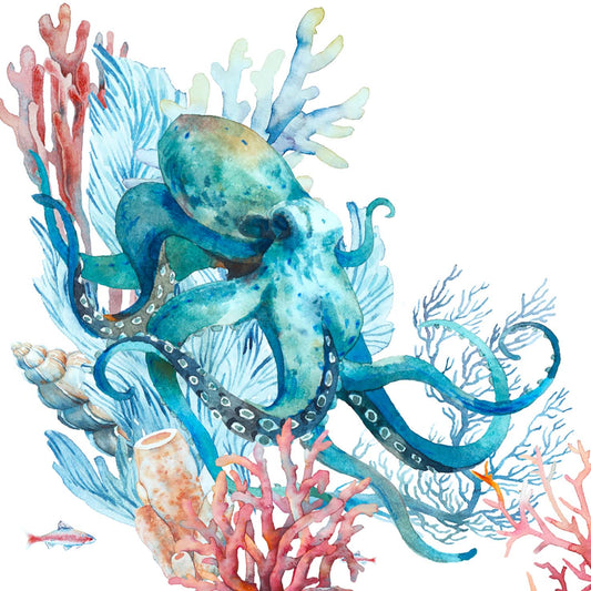 Octopus