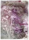 Garden Of Dreams
