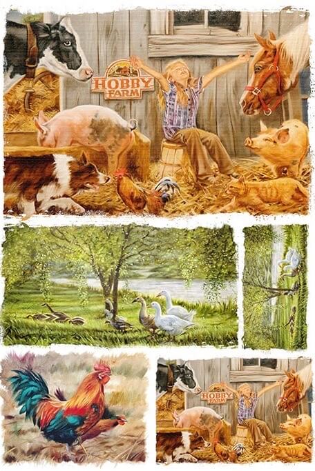 Hobby Farm 