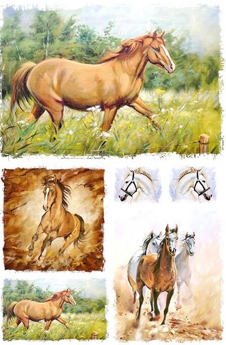 Horses
