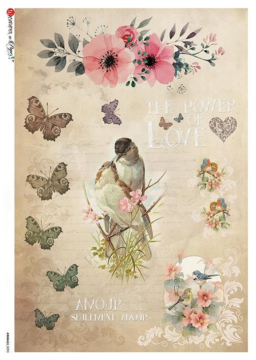 Love Birds