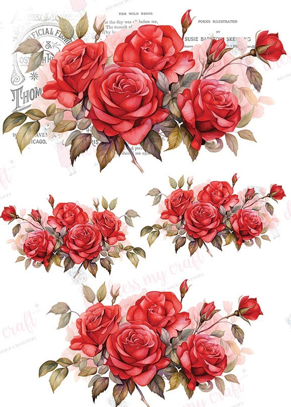 Lovely Roses