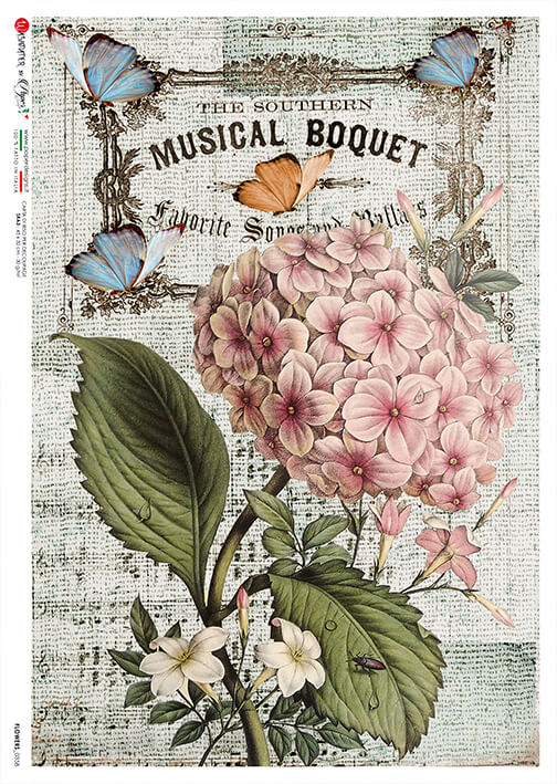 Pink Hydrangea on Music Notes