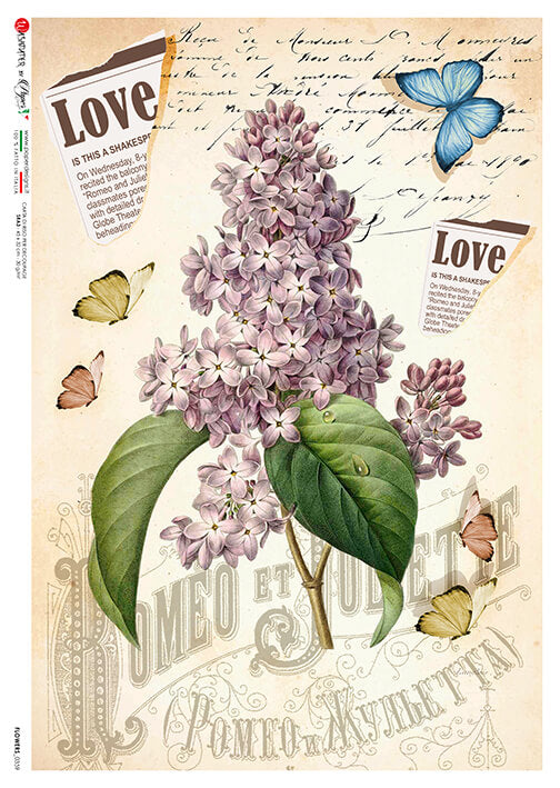 Purple Lilac