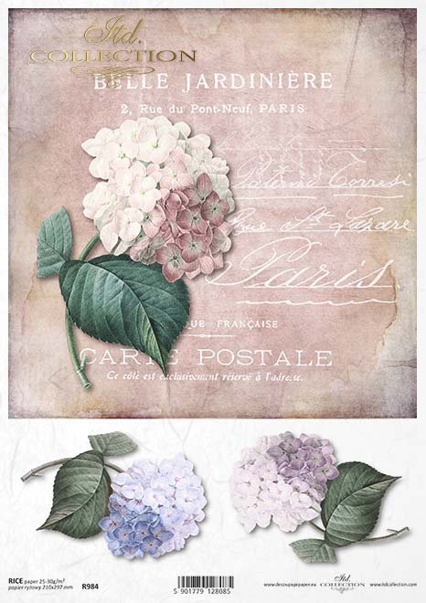 Hydrangea Jardin Rice Paper