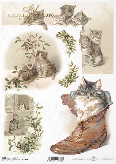 Kitten in a Shoe Rice Paper