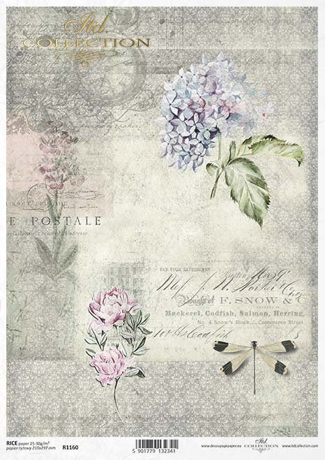 Hydrangea Postal