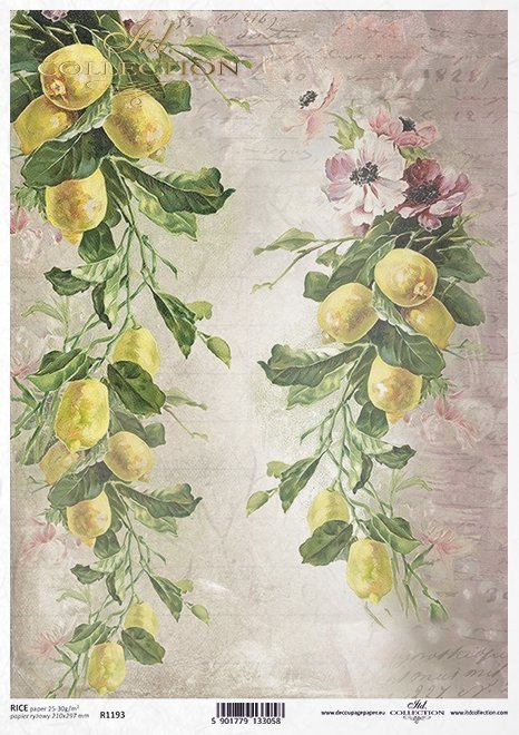 Citrus Garland Rice Paper