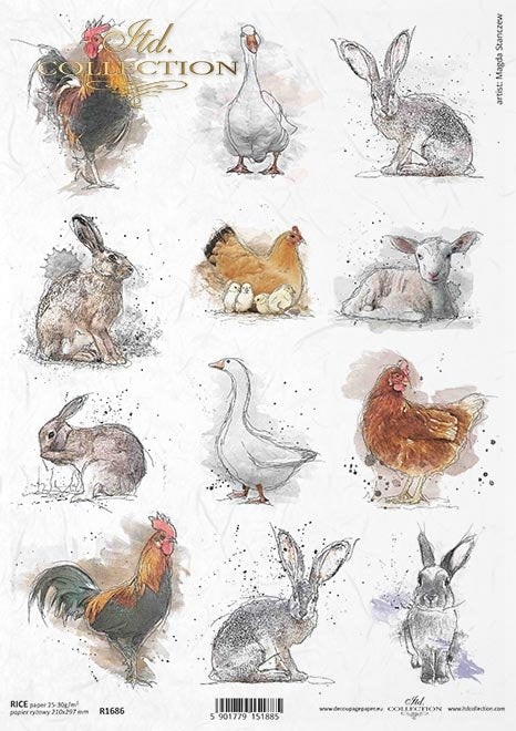 Farm Collection Rice Paper
