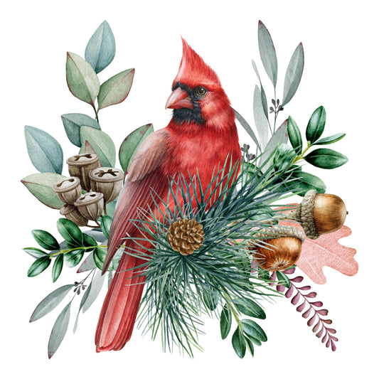Red Cardinal